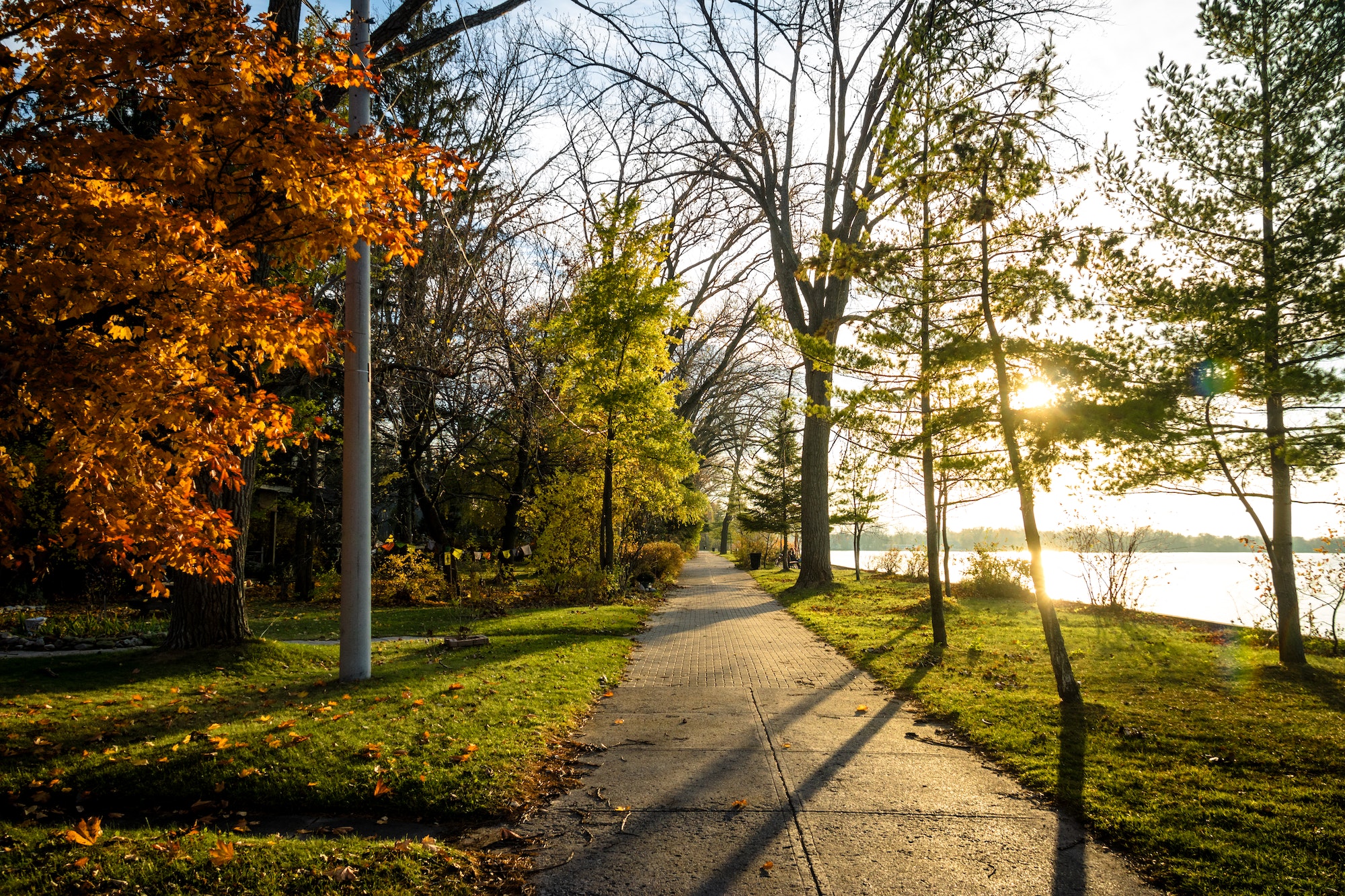 Autumn vegetation on an walkway path of Toronto Islands - Toronto, Ontario, Canada