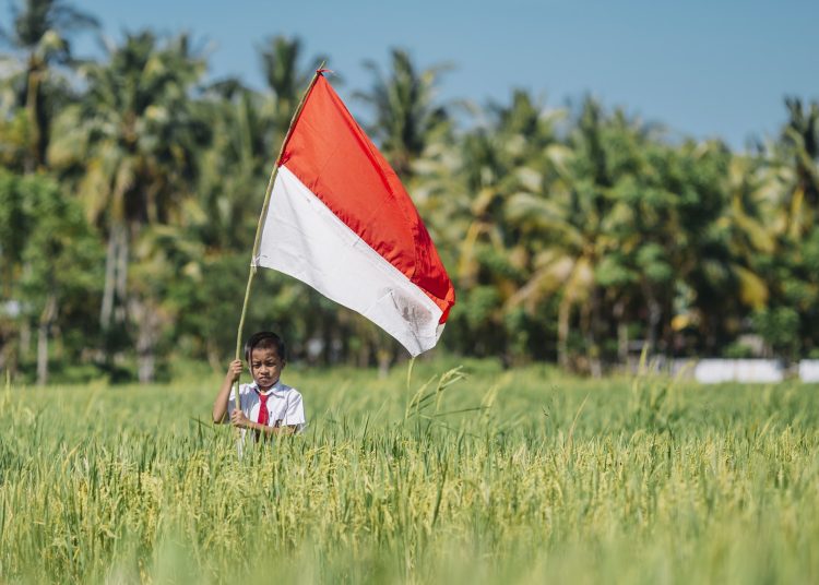 Kid and indonesian flag on field