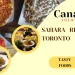 sahara restaurant toronto