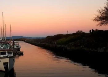 Best Places to Live on Vancouver Island