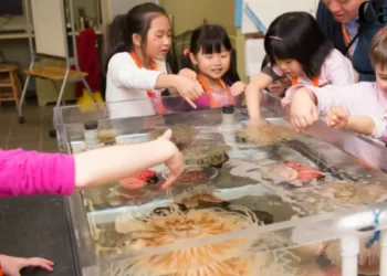 Best Birthday Party Places