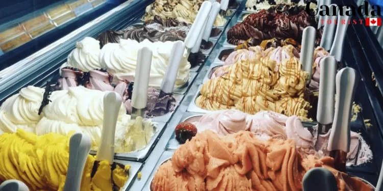 Best Ice Cream Places