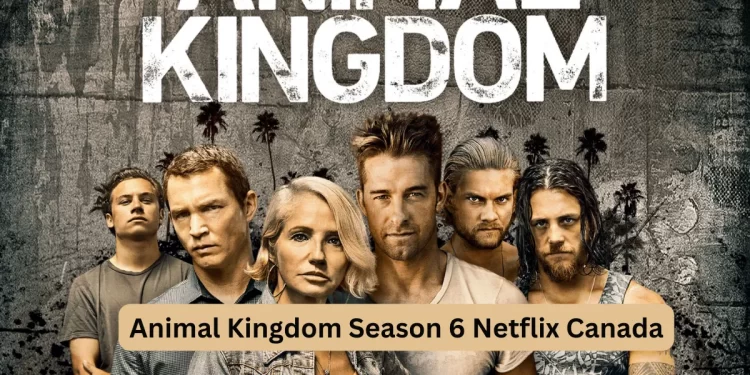 Animal Kingdom Season 6 Netflix Canada
