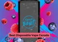 Best Disposable Vape Canada