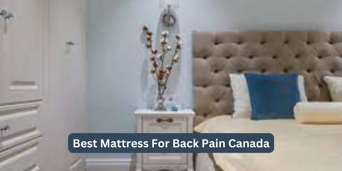 Best Mattress For Back Pain Canada