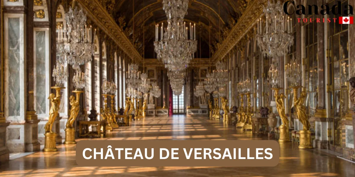 Best Buy Place Versailles