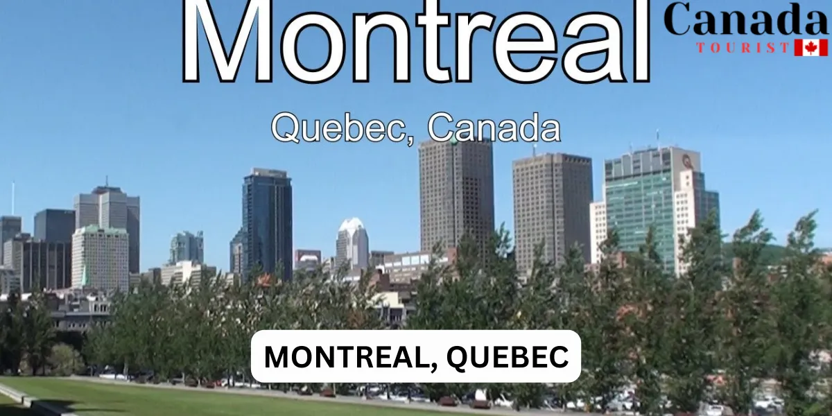 Top Study Spots Best Places To Study Near Me In Canada