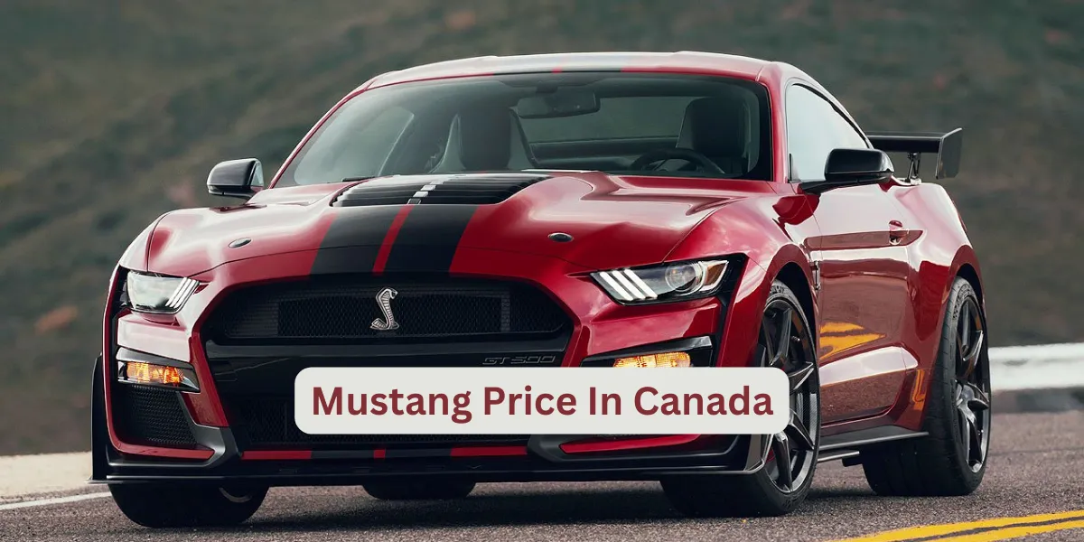 Mustang Price In Canada