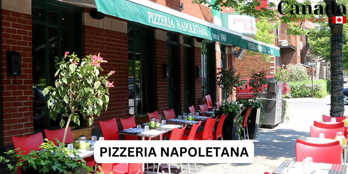Best Pizza Place In Montreal