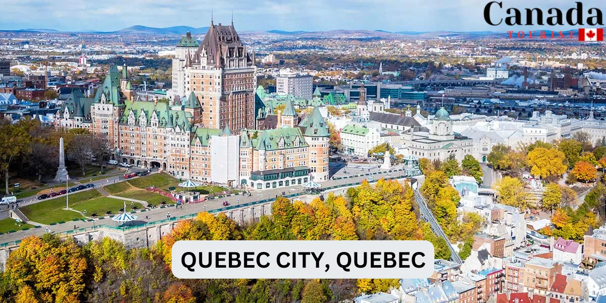 Top Study Spots Best Places To Study Near Me In Canada