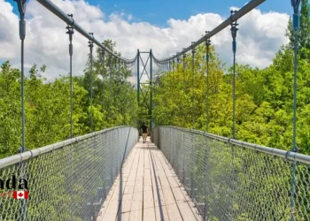 11 Fun Things To Do This Summer In Ontario