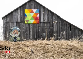 Exploring The Art Tree Trail Of Oro-Medonte