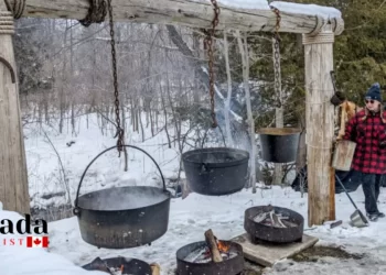 Best Maple Festivals & Events In Ontario