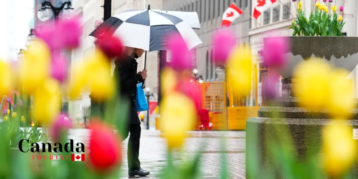 Spring Has Sprung In Ontario – Like, Actually!