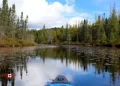 Guide To Exploring Algonquin Park South Gate