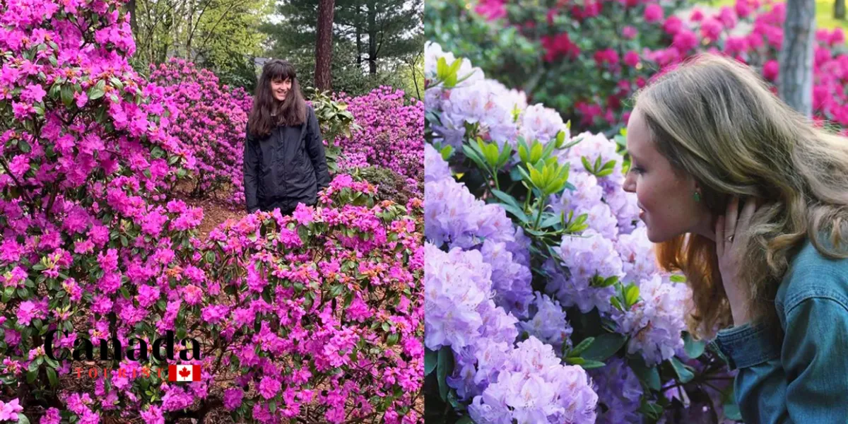 Spring Has Sprung In Ontario – Like, Actually!