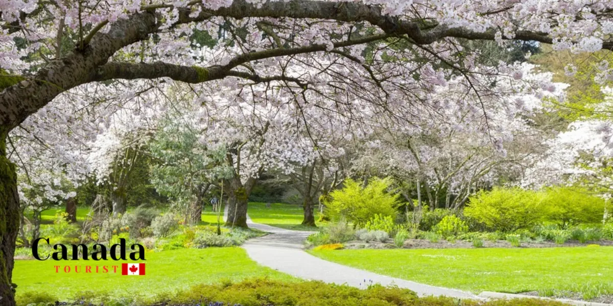 Spring Has Sprung In Ontario – Like, Actually!