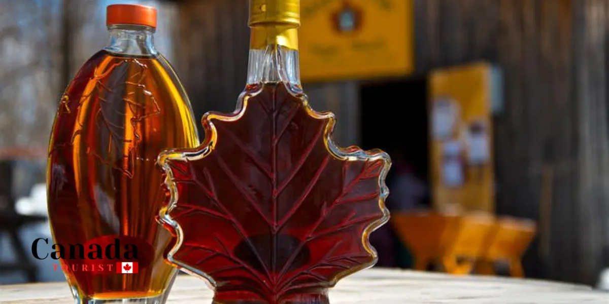 Sweet Maple Experiences In Muskoka