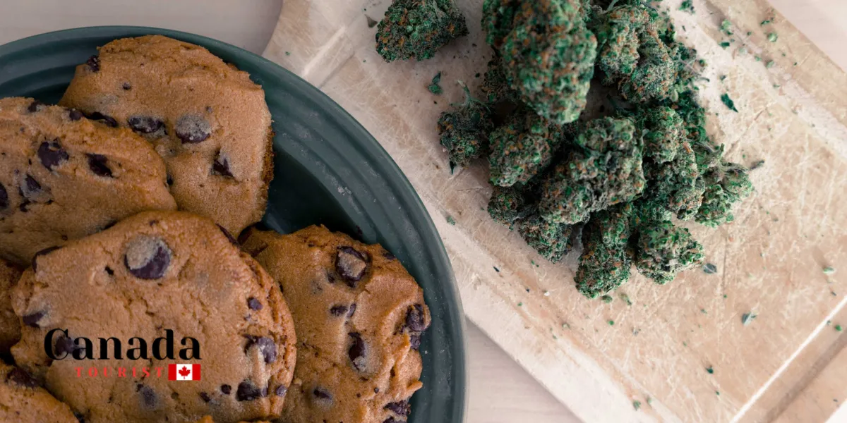 Cannabis-Friendly Things To Do On 4-20