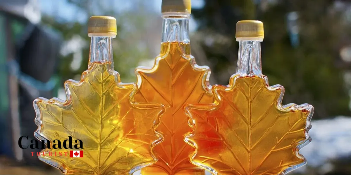 What Are The Best Maple Farms In Ontario?