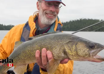 Fishing Tournaments In Ontario