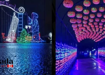 Halloween Spooktacular Light Show Is Back