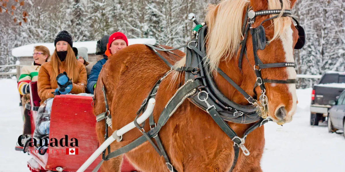 Sweet Maple Experiences In Muskoka