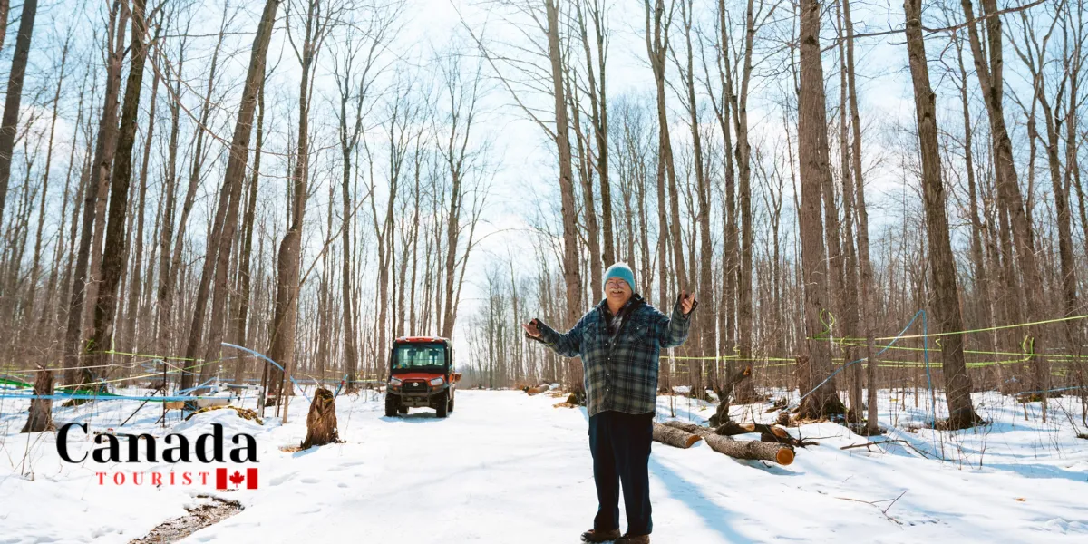 What Are The Best Maple Farms In Ontario?