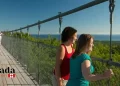 Treetop Adventures To Try This Fall In Ontario