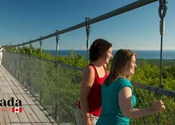 Treetop Adventures To Try This Fall In Ontario