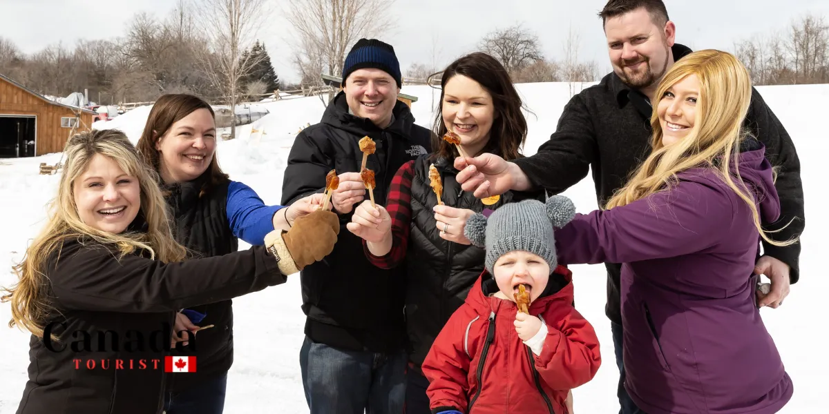 What Are The Best Maple Farms In Ontario?