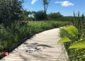 Wye Marsh Announces Free Trail Access For Indigenous People