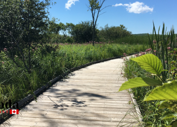 Wye Marsh Announces Free Trail Access For Indigenous People