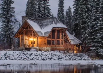 Treetop Trekking Treewalk Village Is Open This Winter