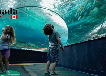 Ontario Summer Day Camps For Kids