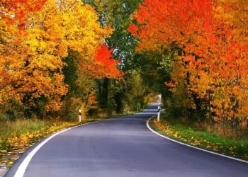 Ontario Fall Colours Road Trips & Drives