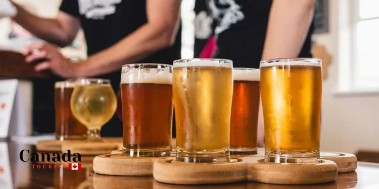 5 Tips On Visiting Microbreweries In Ontario