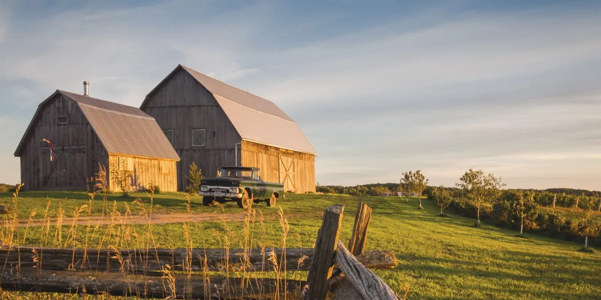 The Horn Trip Driving Route & Must-Stops Of Prince Edward County