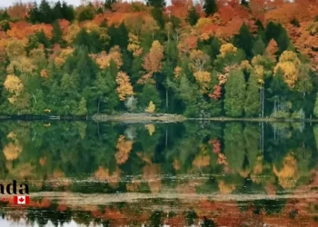 Algonquin Park Fall Colours