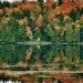 Algonquin Park Fall Colours