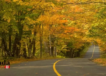 Georgian Bay Fall Colour Routes