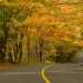 Georgian Bay Fall Colour Routes