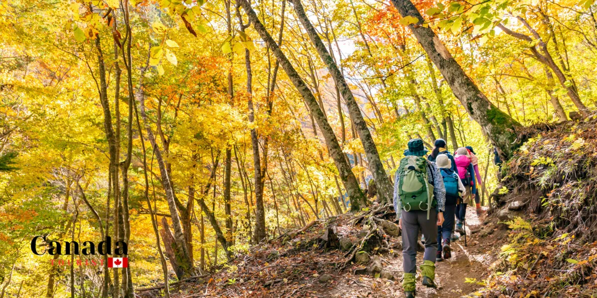 Georgian Bay Fall Colour Routes