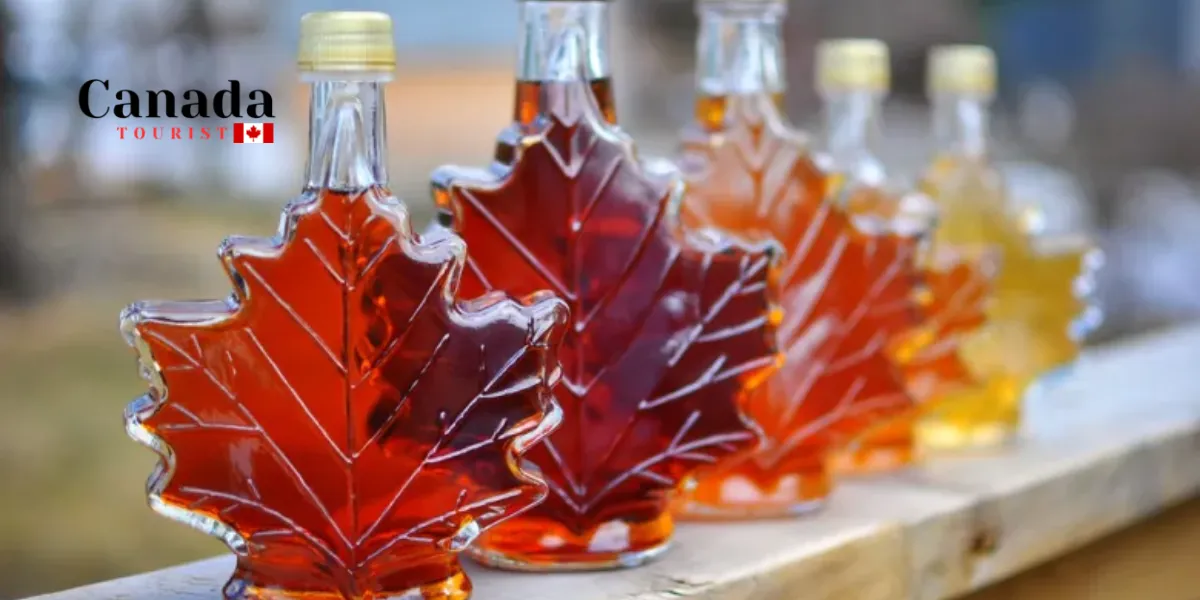 Where To Buy Ontario Maple Syrup Online