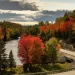 Muskoka Fall Colour Routes