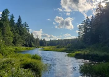 Yours Outdoors And Haliburton Forest Joining Forces