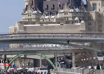 Ontario Travel Black Friday Deals