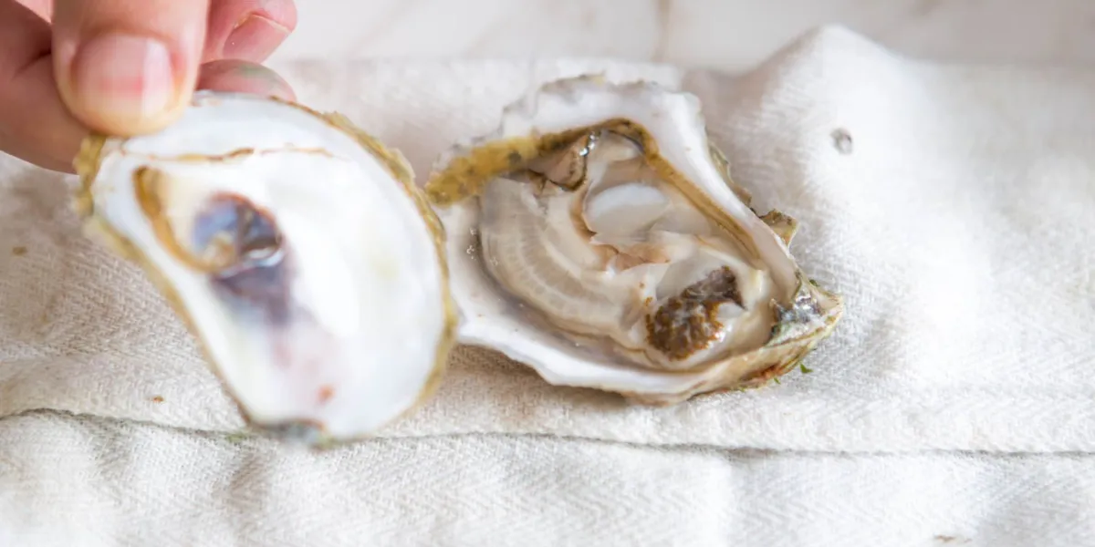 How To Shuck Oysters At Home