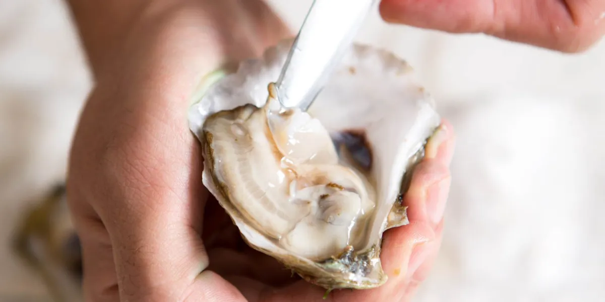 How To Shuck Oysters At Home