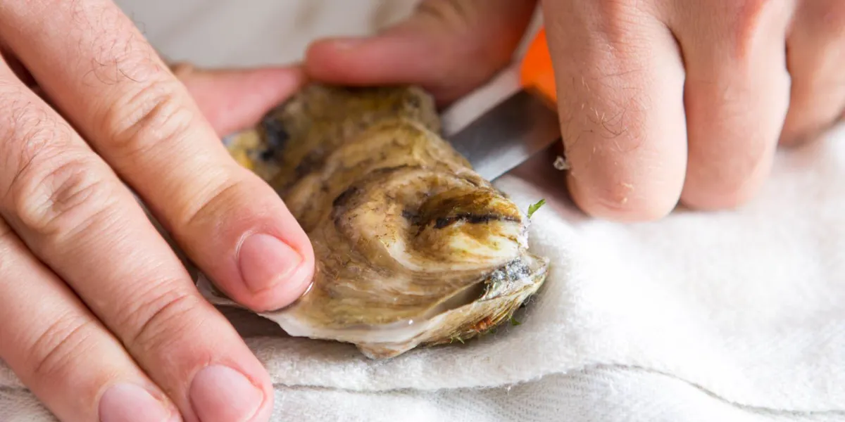 How To Shuck Oysters At Home